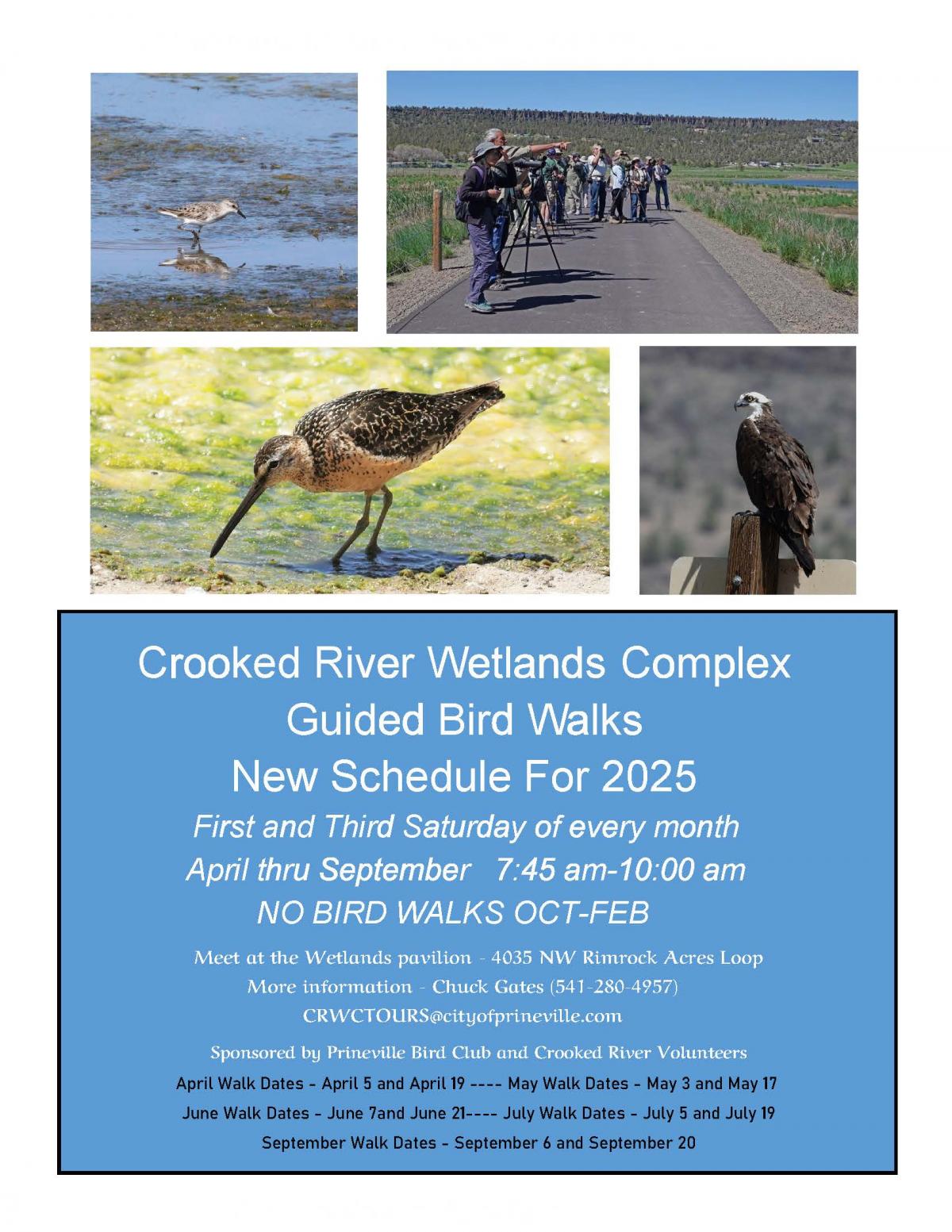 Guided Bird Walks